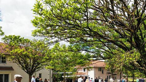 Tag der offenen Tür in den Marshall Heights