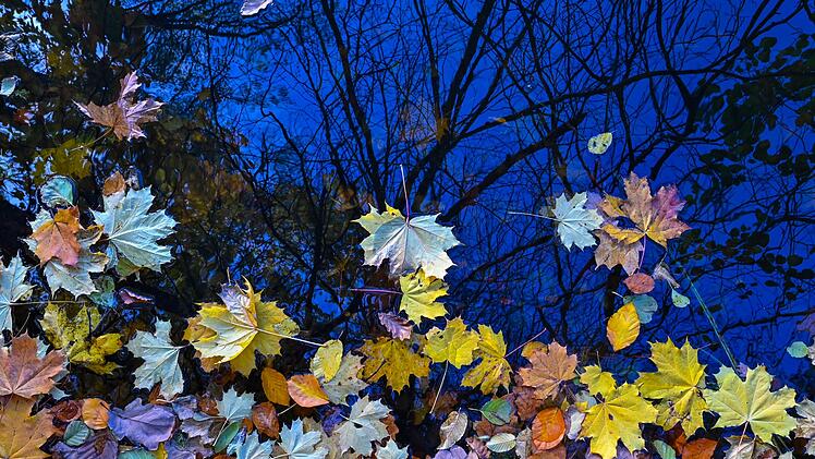Buntes Herbstlaub