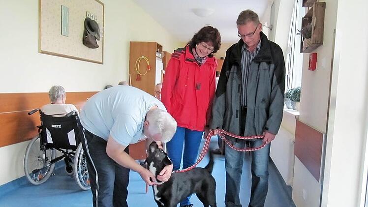 Labrador-Mischling "Bella" ist neun Monate alt und das erste Mal in Kutzenberg bei "Tiere helfen Menschen" mit dabei