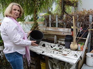 Kreativ im Garten: Rosemarie Hübner aus Katschenreuth verwirklicht in ihrer grünen Oase ihre Ideen und findet dabei Ruhe und Entspannung. Foto: Dagmar Besand