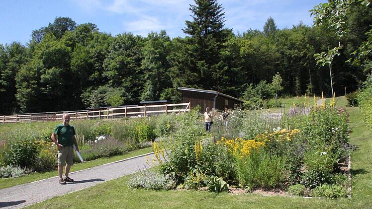 Etwas unterhalb vom Tierpark hat die Kurgärtnerei einen Schmetterlingsgarten angelegt. Foto: Ulrike Müller