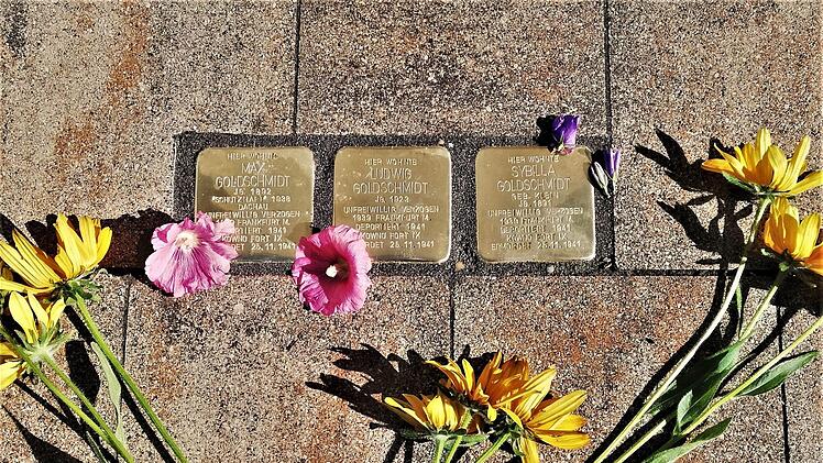 Drei Stolpersteine für die Familie Goldschmidt wurden vor ihrem früheren Wohnhaus Unterhainstraße 25 verlegt. Foto: Sigismund von Dobschütz