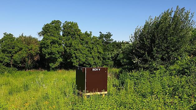 Hier im Kitzinger Deustergarten soll das Prestige-Projekt entstehen. Foto: Bund der Steuerzahler