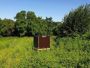 Hier im Kitzinger Deustergarten soll das Prestige-Projekt entstehen. Foto: Bund der Steuerzahler