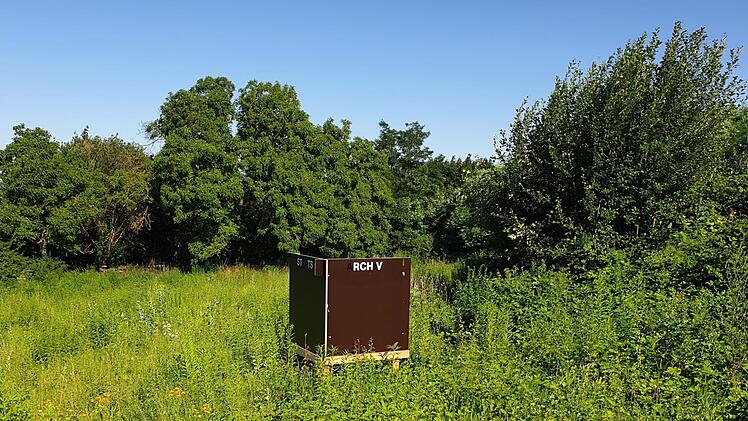 Hier im Kitzinger Deustergarten soll das Prestige-Projekt entstehen. Foto: Bund der Steuerzahler