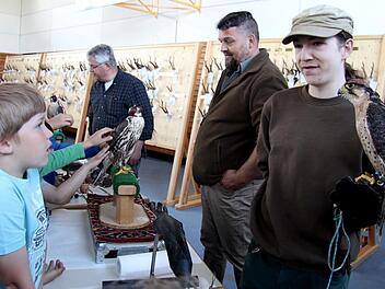 Die Höchstadter Falkner Tobias Küblböck und Alfons Zeiler führten ihre Jagdfalken vor.Richard Sänger