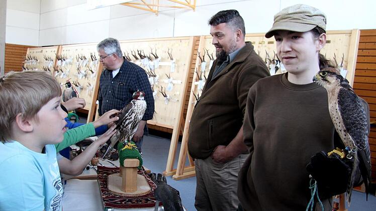 Die Höchstadter Falkner Tobias Küblböck und Alfons Zeiler führten ihre Jagdfalken vor.Richard Sänger