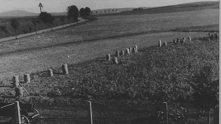 Ein Bild aus vergangenen Zeiten: die Kartoffelsäcke in Reih und Glied an der alten Bernecker Sttraße. Links unten steht ein Mistwagen und rechts ein Kartoffelroder Repro: Bruno Preißinger