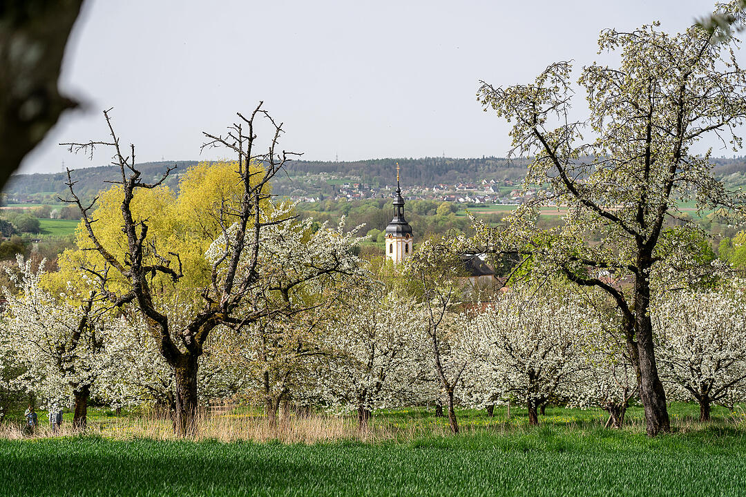 Unterwegs auf dem Kirschenweg.