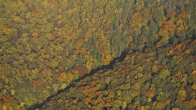 Durch den Steigerwald geht ein Riss: Ist ein besonderer Status erforderlich, und wenn ja welcher? Ober soll der Steigerwald so bleiben, wie er ist? Die Meinungen prallen aufeinander.
