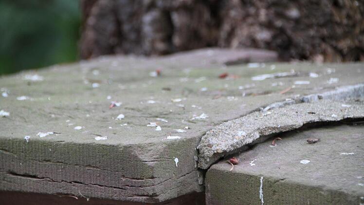 Impressionen vom meditativen Spaziergang Foto: Ulrike Müller