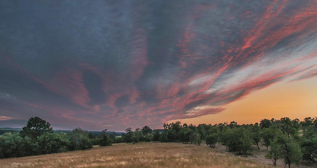 Die schönsten Sommerfotos aus Forchheim und Umgebung
