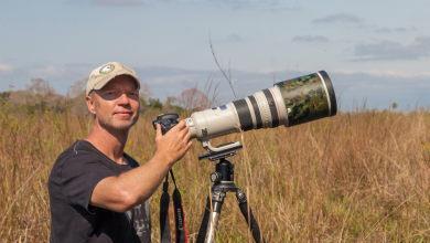 Tierfotografie in BrasilienHeiko Beyer