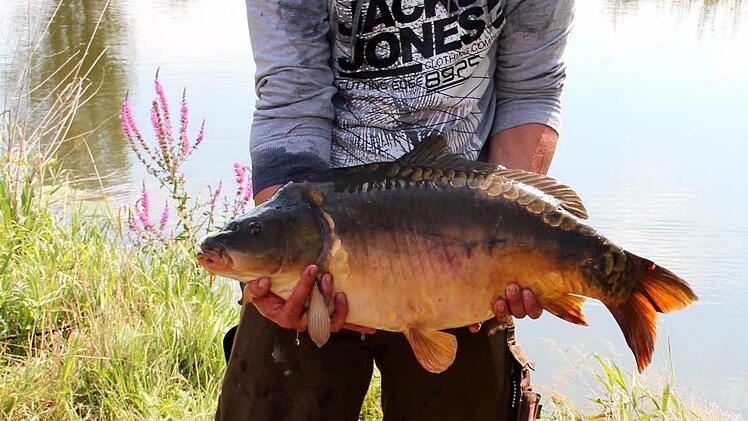 Gesamtsieger Daniel Dresel aus Höchstadt Foto: Johanna Blum