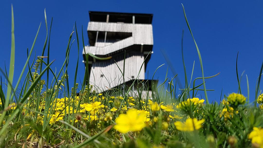 Die schönsten Frühlingsfotos aus Kronach und Umgebung