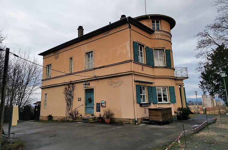 Pflanzaktion in Bamberg: Neue Streuobstbäume an Villa Remeis