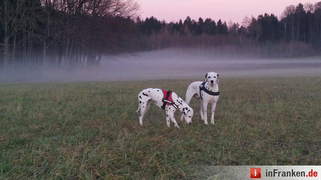 Nebel über Franken