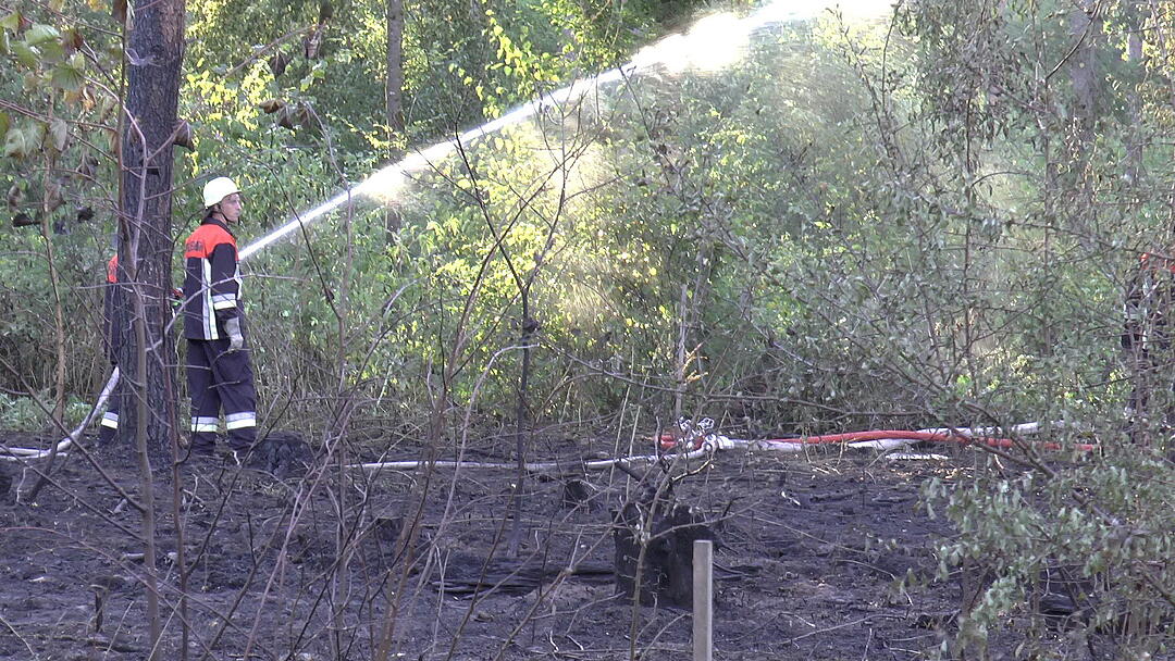 Waldbrand im Kreis Haßberge: Feuerwehr kämpft mit Großaufgebot gegen die Flammen