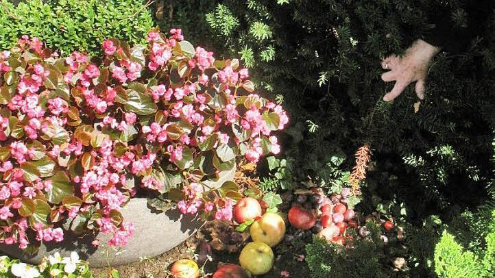 Äpfel und Pflaumen sind noch die harmloseren Grabbeigaben, die mehrere Coburger immer wieder auf den Gräbern ihrer Angehörigen finden.