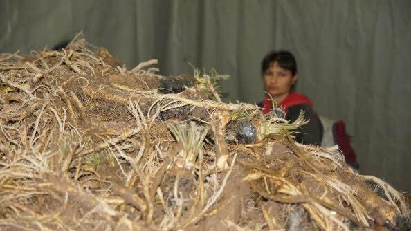 Foto: Heike Reinersmann