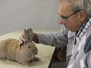 Kleintierzüchter Oskar Vogel mit seinem Kaninchen "Separator" Fotos: Helmut Will