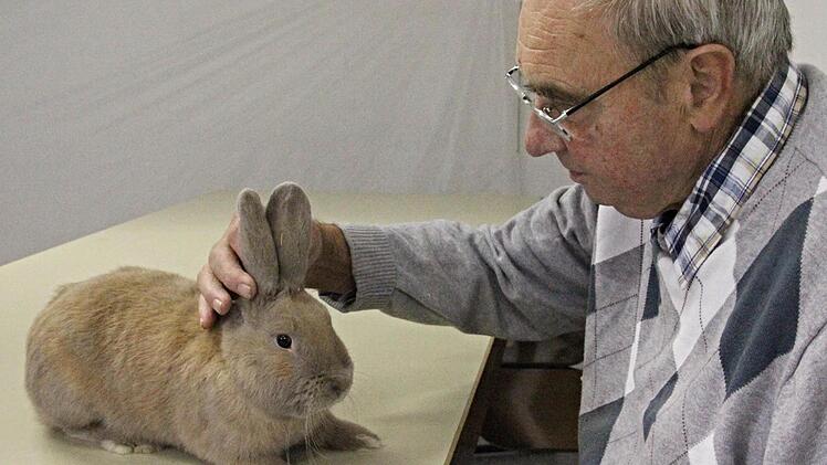 Kleintierzüchter Oskar Vogel mit seinem Kaninchen "Separator" Fotos: Helmut Will
