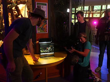 "Sendung mit der Maus" im Tiergarten Nürnberg: Kult-Kindershow sendet aus Franken "Sendung mit der Maus" im Tiergarten Nürnberg: Kult-Kindershow sendet aus Franken