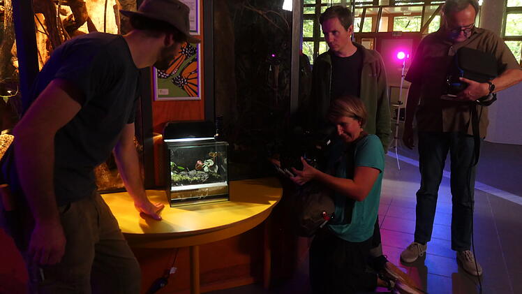 "Sendung mit der Maus" im Tiergarten Nürnberg: Kindersendung-Sonderausgabe in Franken