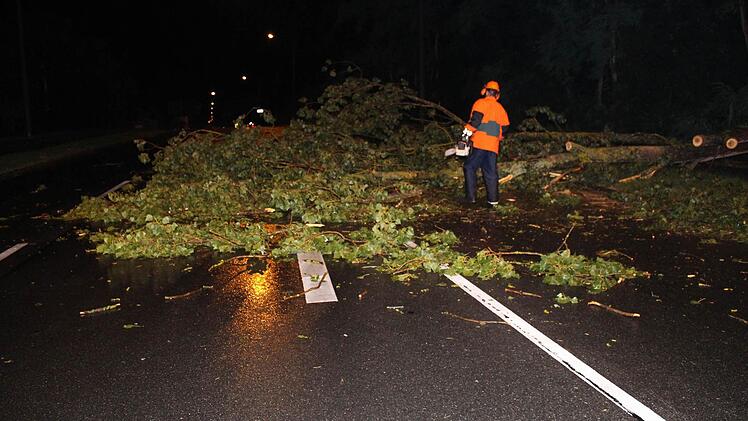 Foto: News5 / Klein
