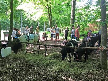 Premiere im Steigerwald: Bei den Familientagen kam besonders das Ponyreiten gut an. Foto: an