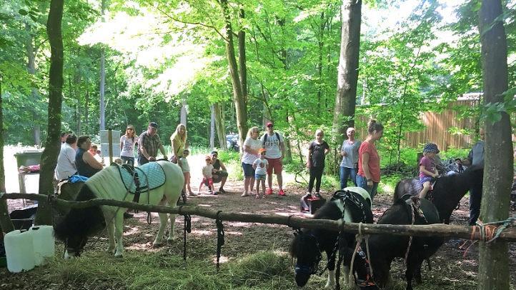 Premiere im Steigerwald: Bei den Familientagen kam besonders das Ponyreiten gut an. Foto: an