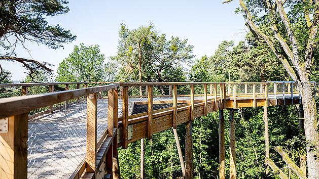Tiergarten Nürnberg: Besondere Attraktion in luftiger Höhe eröffnet bald