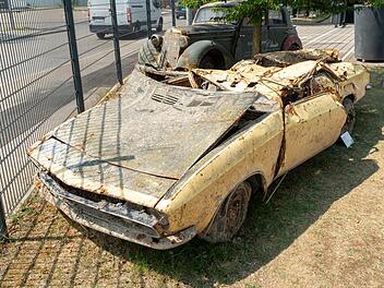 Manta-Wrack aus der Donau