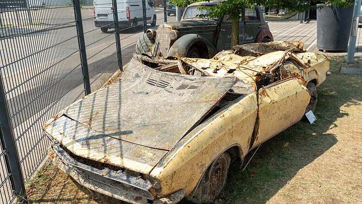 Manta-Wrack aus der Donau