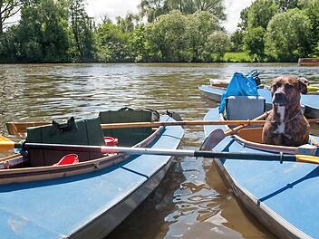 Flussparadies Franken stoppt Kanuverleih - Landkreise Bamberg und Lichtenfels betroffen