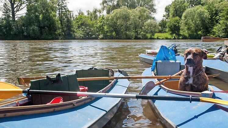 Auf dem schiffbaren Main ist für die Faltboot-Fahrer noch genügend Wasser. Auf dem Obermain stehen der Pegel Kemmern und der Pegel Schwürbitz auf Rot. Damit sind Kanufahrten nur noch auf dem staugeregelten Obermain von Michelau bis Hausen möglich.