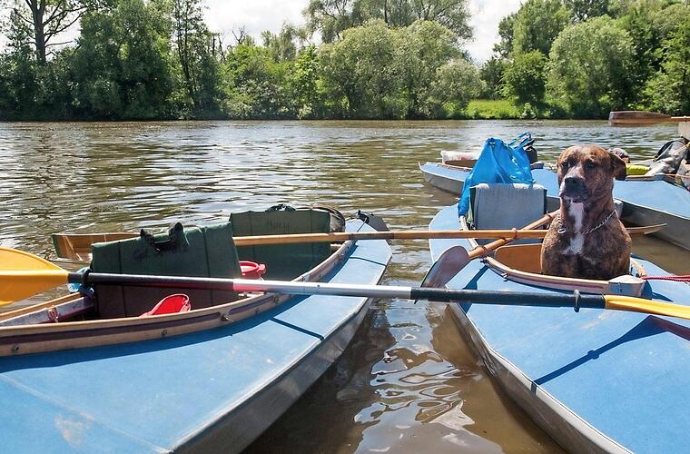 Flussparadies Franken stoppt Kanuverleih - Landkreise Bamberg und Lichtenfels betroffen