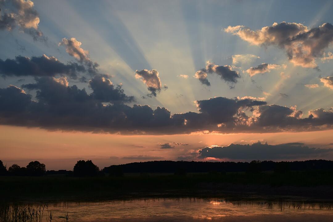 Die schönsten Sommerfotos aus Erlangen und Umgebung