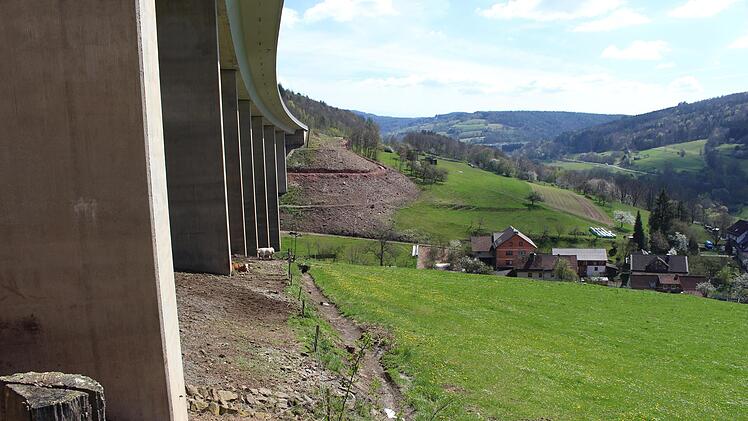 Rund um die Talbrücke Römershag muss der Bewuchs weichen. Dort soll eine neue Brücke gebaut werden. Direkt darunter sind Weiden und  ein Wohngebiet. Foto: Julia Raab
