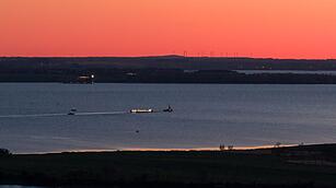 Weitere Entwicklung zum Buckelwal in der Ostsee