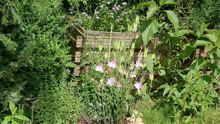 Impressionen aus dem Garten Michaelis in Schirradorf Foto: Dagmar Besand