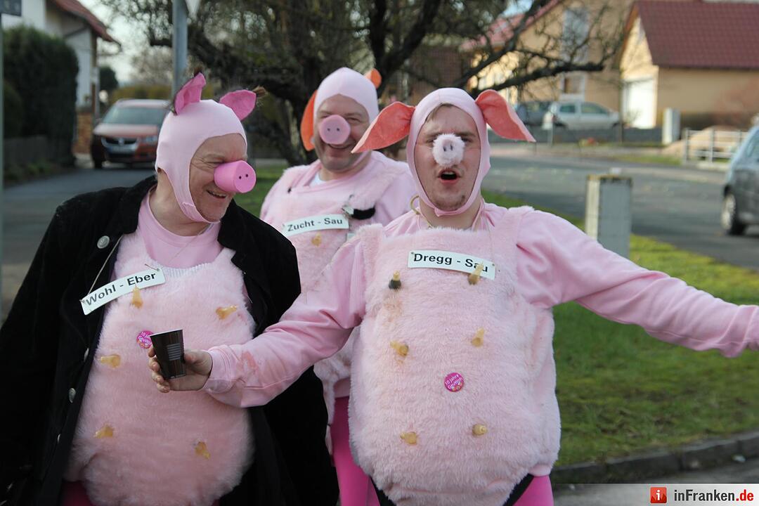 Faschingszug Oberhaid 2016