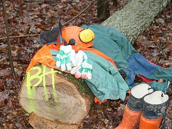 len-wald7