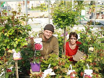 Fototermin mitten in den Rosen: Chef Tim Kröner mit seiner Mitarbeiterin Hiltrud Reinhart, die er scherzhaft "Rosenkönigin" nennt. Foto: Susanne Will