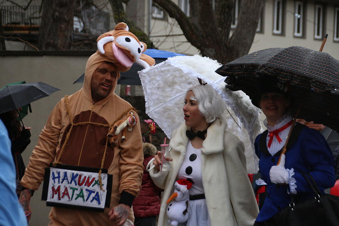Landkreis Faschingszug
