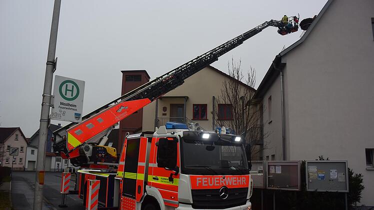 Mitglieder der Hammelburger Feuerwehr haben das Storchennest in Diebach gereinigt.
