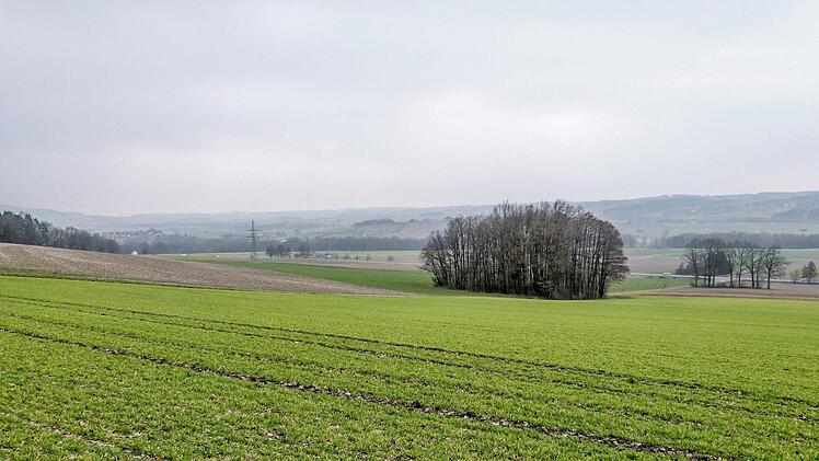 Foto: Werner Reißaus