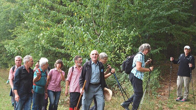 Kurz vor Vierzehnheiligen nutzten einige Wanderer eine kleine Abkürzung und bogen links vom ausgeschilderten Weg ab. Foto: Alfred Thieret