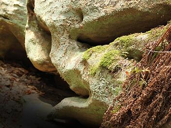 Unheimliche Fratzen wie aus einem Horrorfilm sind in den Felsen des Ebnether Kellerwalds ebenso zu erblicken wie schlafende Riesen. Foto: Matthias Einwag