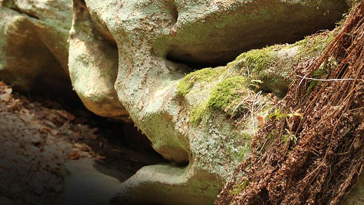 Unheimliche Fratzen wie aus einem Horrorfilm sind in den Felsen des Ebnether Kellerwalds ebenso zu erblicken wie schlafende Riesen. Foto: Matthias Einwag